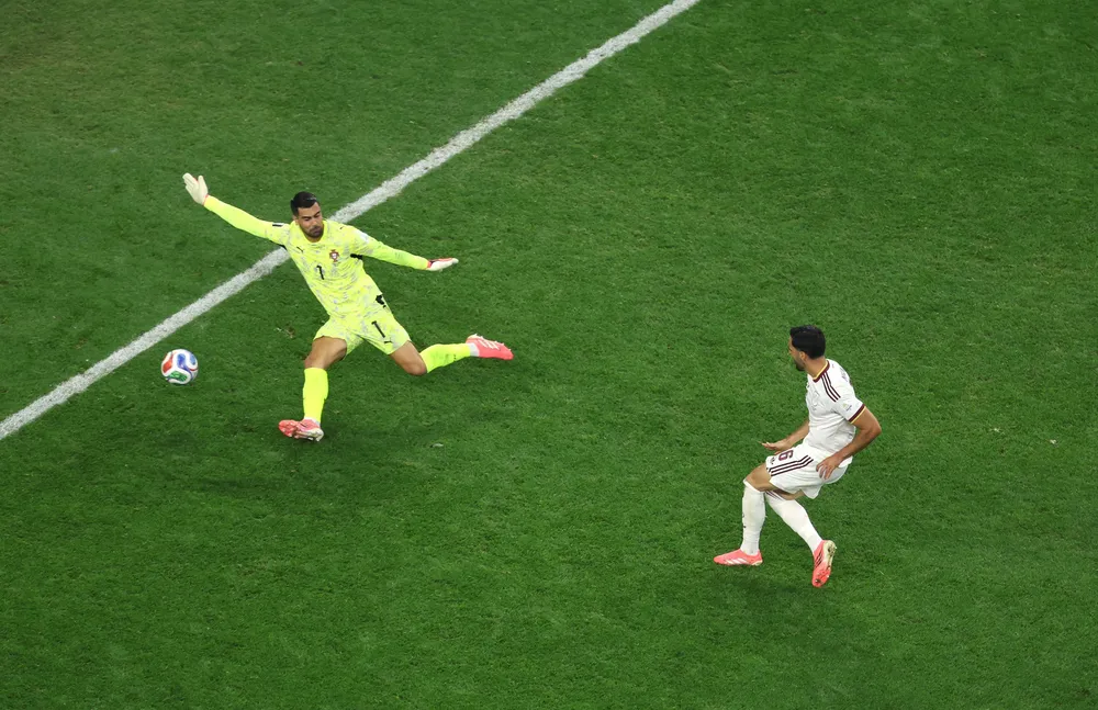 Merino